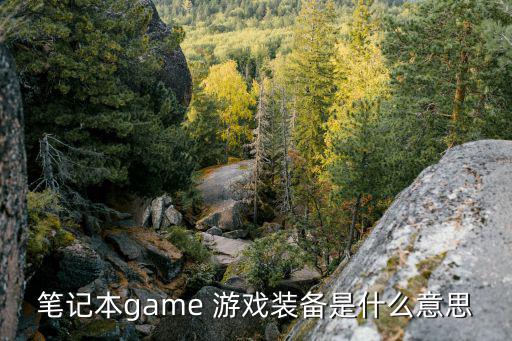 笔记本game 游戏装备是什么意思