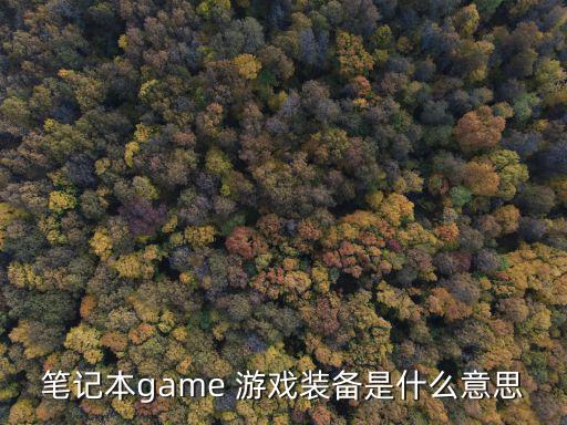 笔记本game 游戏装备是什么意思