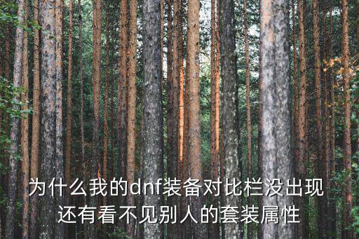 为什么我的dnf装备对比栏没出现 还有看不见别人的套装属性