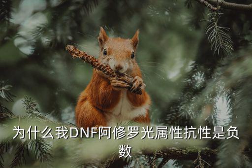 为什么我DNF阿修罗光属性抗性是负数