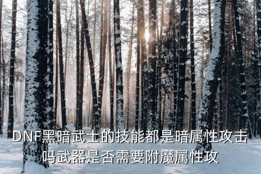 DNF黑暗武士的技能都是暗属性攻击吗武器是否需要附魔属性攻