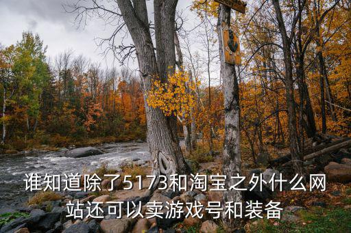 谁知道除了5173和淘宝之外什么网站还可以卖游戏号和装备