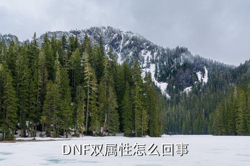 DNF双属性怎么回事