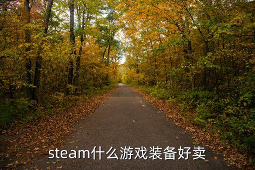 steam什么游戏装备好卖