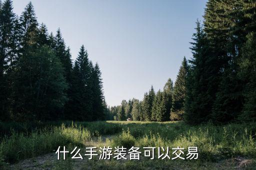 什么手游装备可以交易