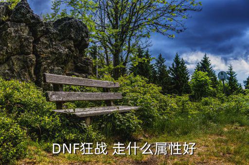 dnf狂战走什么属性，dnf狂战士走什么属性