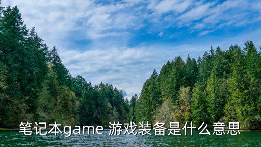 笔记本game 游戏装备是什么意思