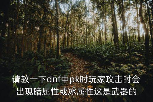 请教一下dnf中pk时玩家攻击时会出现暗属性或冰属性这是武器的