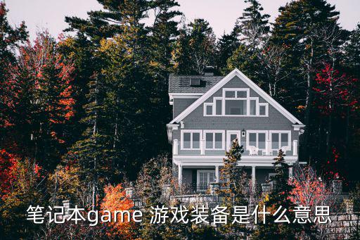 笔记本game 游戏装备是什么意思