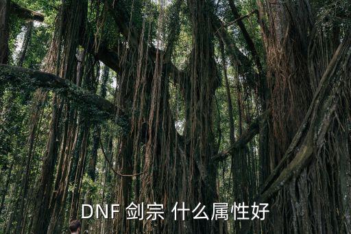 DNF 剑宗 什么属性好