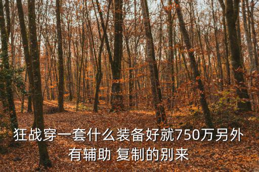 狂战穿一套什么装备好就750万另外有辅助 复制的别来