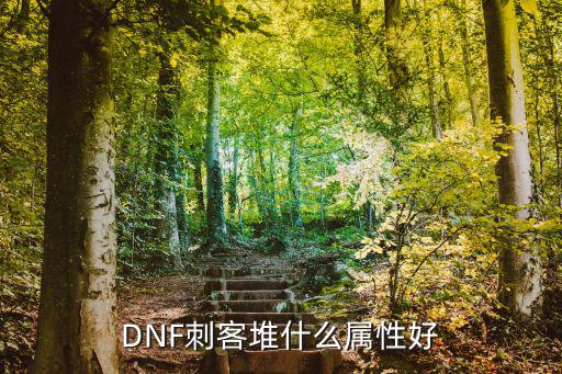 DNF刺客堆什么属性好