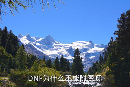 DNF为什么不能附魔呀