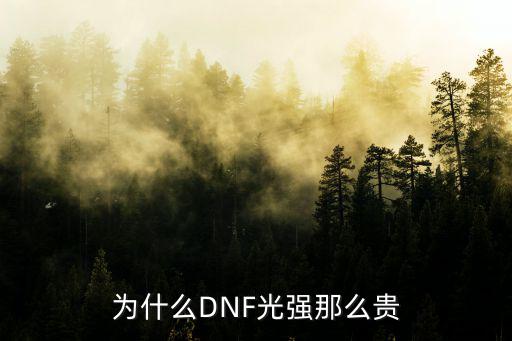 为什么DNF光强那么贵