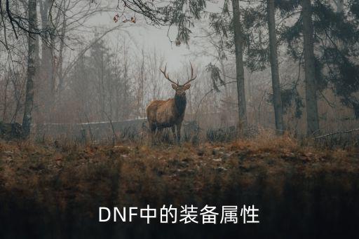 DNF装备属性有什么，DNF装备属性