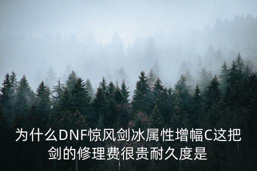 为什么DNF惊风剑冰属性增幅C这把剑的修理费很贵耐久度是