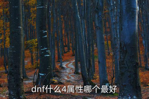 dnf什么4属性哪个最好