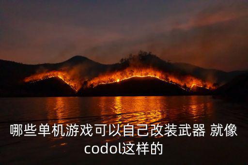 哪些单机游戏可以自己改装武器 就像codol这样的