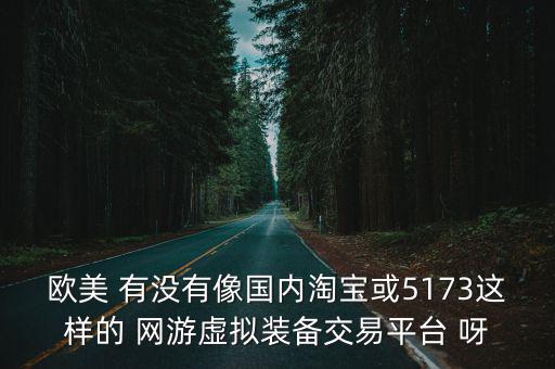 欧美 有没有像国内淘宝或5173这样的 网游虚拟装备交易平台 呀