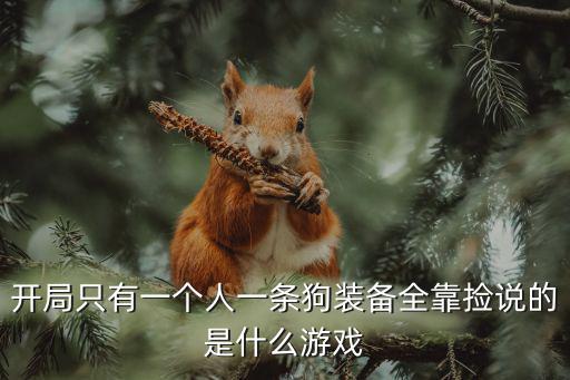 开局只有一个人一条狗装备全靠捡说的是什么游戏