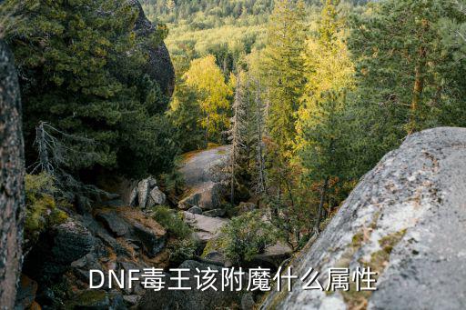 DNF毒王该附魔什么属性