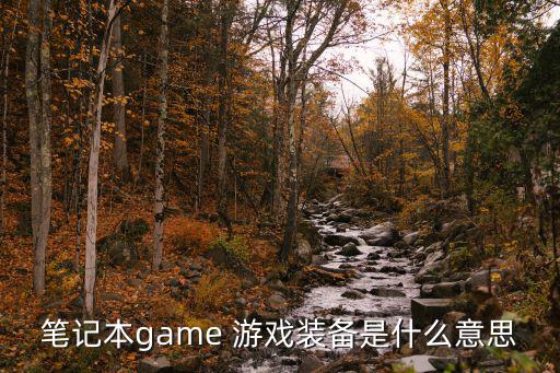 笔记本game 游戏装备是什么意思