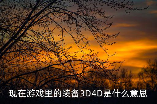 现在游戏里的装备3D4D是什么意思