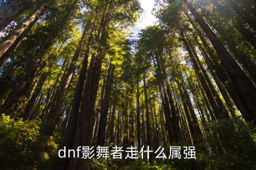 dnf影舞者走什么属强