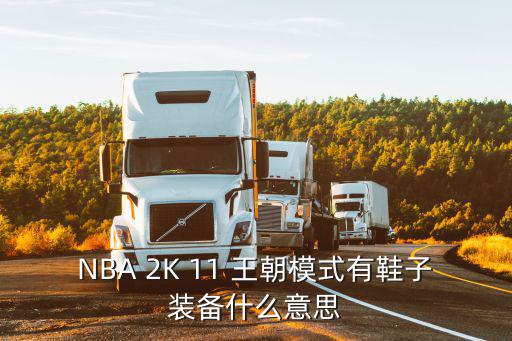 NBA 2K 11 王朝模式有鞋子装备什么意思