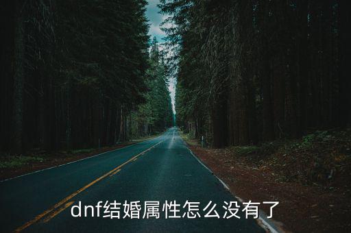 dnf结婚属性怎么没有了