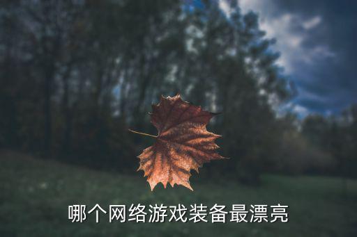 哪个网络游戏装备最漂亮