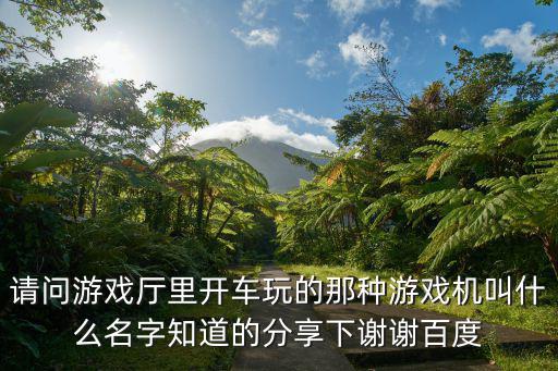 请问游戏厅里开车玩的那种游戏机叫什么名字知道的分享下谢谢百度