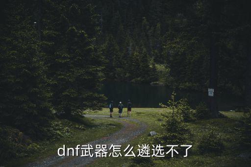 dnf武器怎么遴选不了