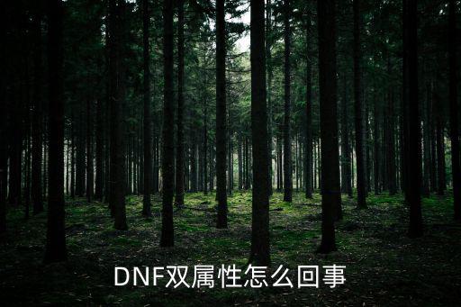 DNF双属性怎么回事