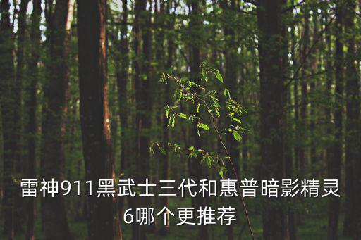 雷神911黑武士三代和惠普暗影精灵6哪个更推荐