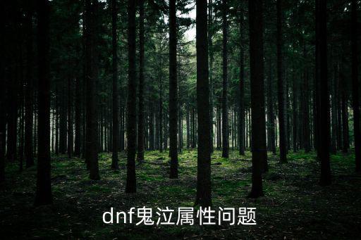 dnf鬼泣属性问题