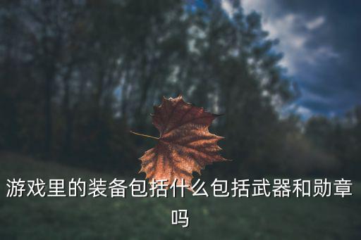 游戏里的装备包括什么包括武器和勋章吗