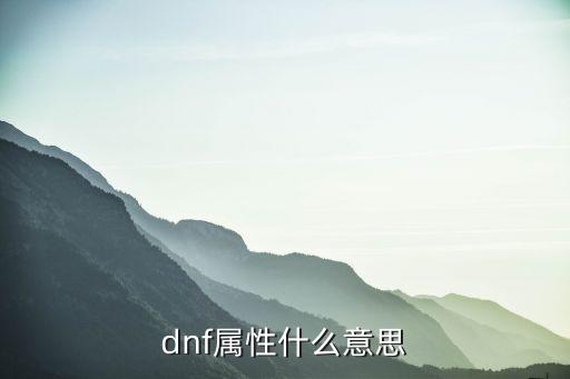 dnf属性什么意思