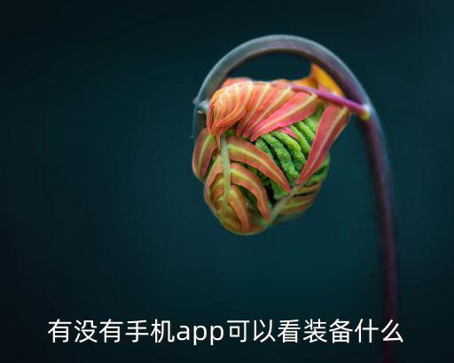 有没有手机app可以看装备什么