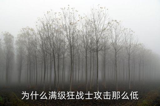 为什么满级狂战士攻击那么低