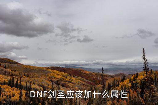 DNF剑圣应该加什么属性