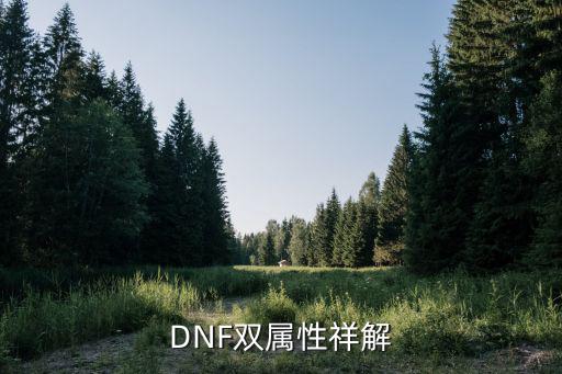 DNF双属性祥解