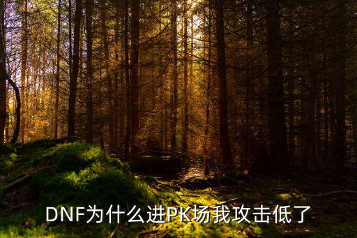 DNF为什么进PK场我攻击低了