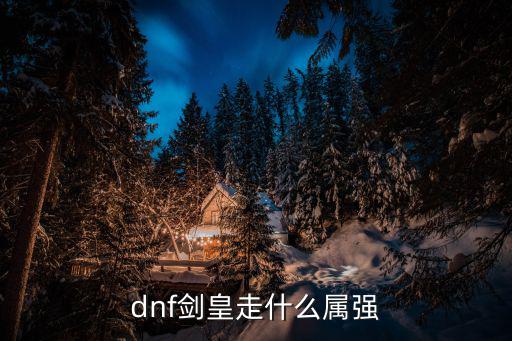 dnf剑皇走什么属强