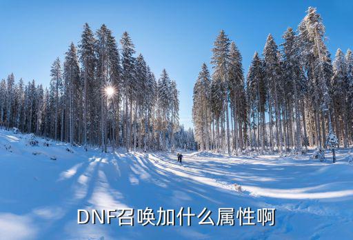 DNF召唤加什么属性啊