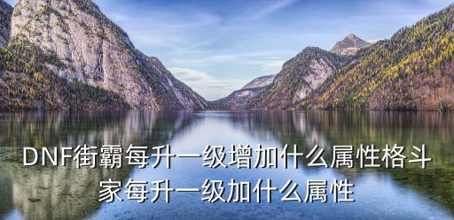 DNF街霸每升一级增加什么属性格斗家每升一级加什么属性