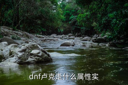 dnf卢克走什么属性实