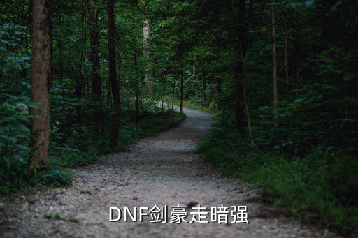 DNF剑豪走暗强