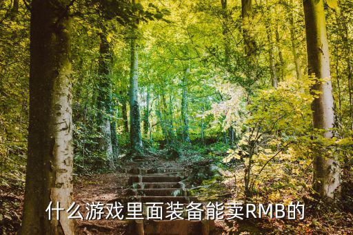 什么游戏里面装备能卖RMB的