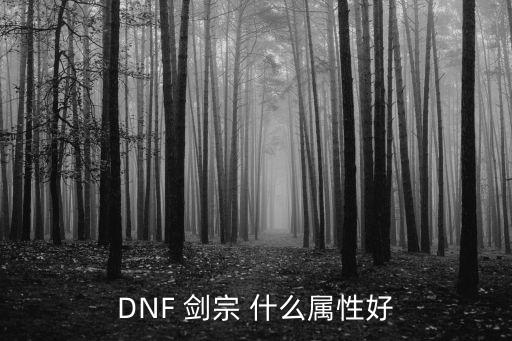 dnf剑宗什么属性强化好，巨剑剑宗为什么都拔暗刀啊走什么属强好点